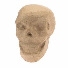Cardboard Skull 15cm