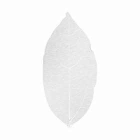 Skeleton Leaves, 6-8cm, white, 20 pcs