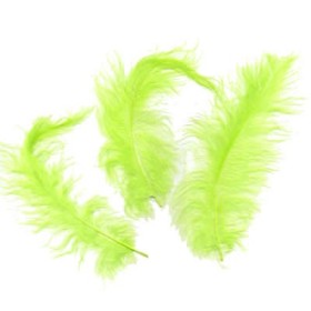 Light green Feathers, 5g