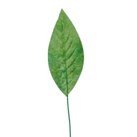 Beech tree leaves, 8cm, 24 pces