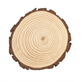 Tree slice round 20-22cm/2cm, 1 pce