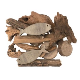 Deco set with fish and drift wood