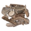 Deco set with fish skeleton and drift wood