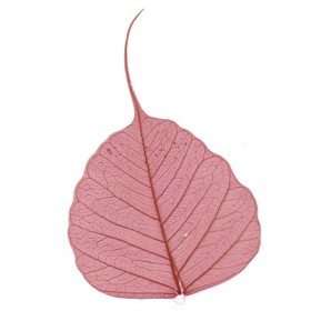 Skeleton Leaves, 8 pieces, red