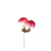 Mushroom, dark red, 4cm