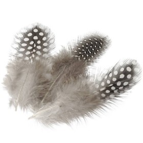 Grey Feathers with dots, 5cm, 20 pcs