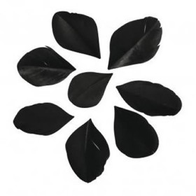 Feathers cutted, 5-6cm, black, 36 pcs