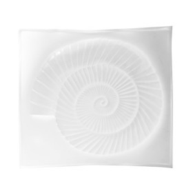 Mould sea shell / ammonite 34x38cm