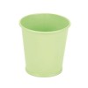 Metal Bucket green