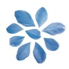 Plumas cortadas, azul claro, 5-6cm, 36 pz