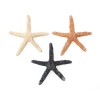 Objetos de poliresina, "estrellas de mar", 60mm, 3 pz