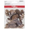 Japanese larch cones, natural, 50g