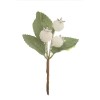 Bouquet de baies, blanc