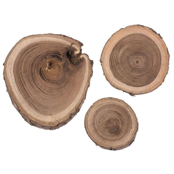 Arandelas de madera 3-6cm, 80g