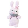 Sock animal kit - Rabbit