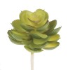 Succulente artificielle- Campanulaceae 7cm