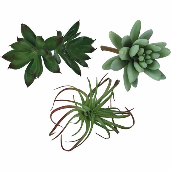 Succulentes artificielles- 8-12cm, assortiment