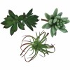 Planta artificial - 8-12cm, 3 pz