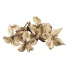 Cotton Husks, 20g