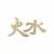 Feng Shui fire & water symbols