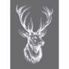 Haftschablone Edelhirsch A5
