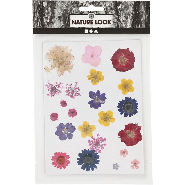 Surtido de flores secos