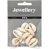 Cauri shell +/-20mm, 12 pcs