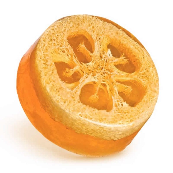 Luffa-Slices, orange, 3 Stk