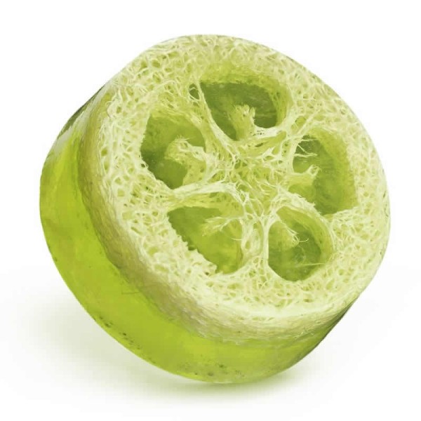 Rebanada de Luffa, verde, 3 pzas