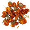 Fleurs séchées - Fleurs de soucis (calendula) ø 1-1.5cm