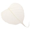 Feuilles squelette, 10 pièces, nature