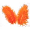 Orange Feathers, 5g