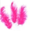 Plumes pink, 5g