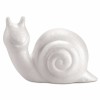 Caracol 10.5cm