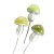 Funky mushrooms, green mix, 5cm, 3 pcs
