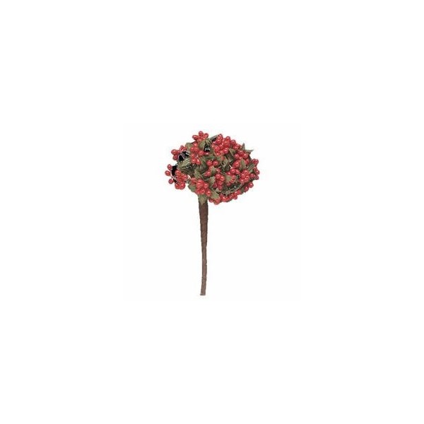 Bouquet de baies, rouge