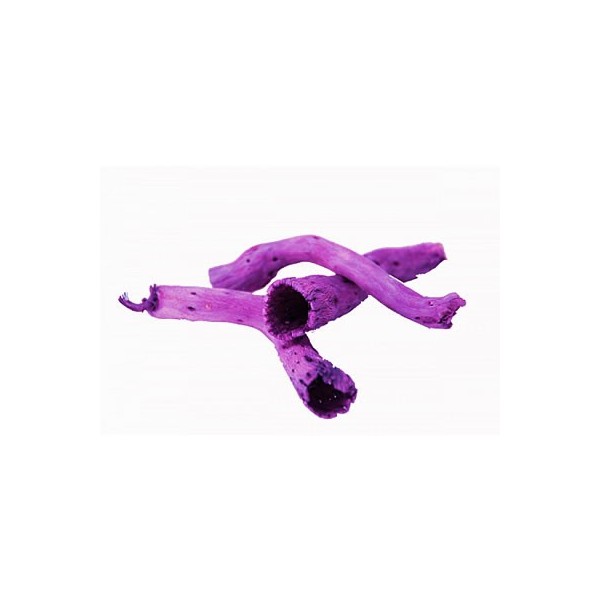 Pepe cone, lilac, 20g