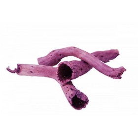 Pepe cone, rosa oscuro, 20g