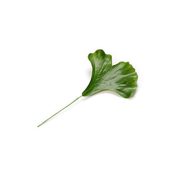 Feuille de gingko, 9cm, 6 pcs