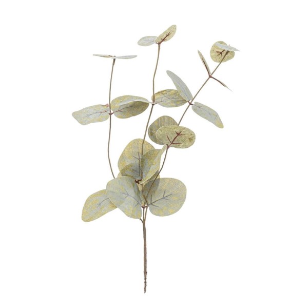 Eucalyptus branch 37cm