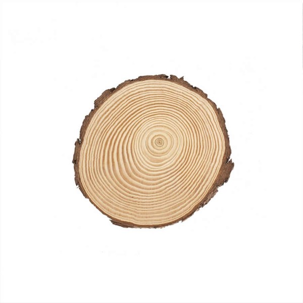 Aimants décoratifs en bois, boule 2x2 cm - 6 pièces