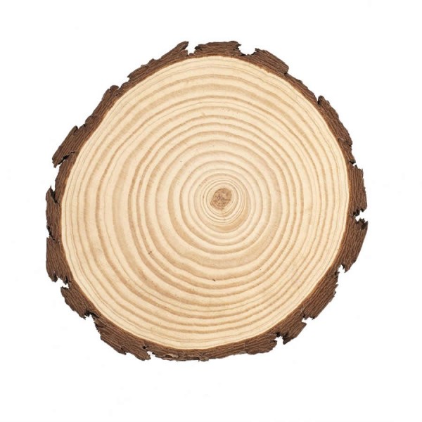 Disque de bois rond 20-22cm/2cm, 1 pce