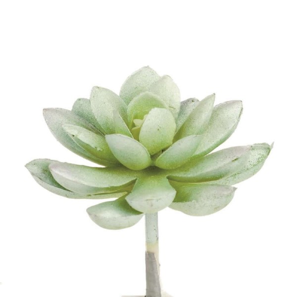 Planta artificial - Echeveria 7cm