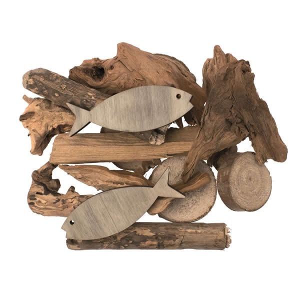 Deco set with fish and drift wood