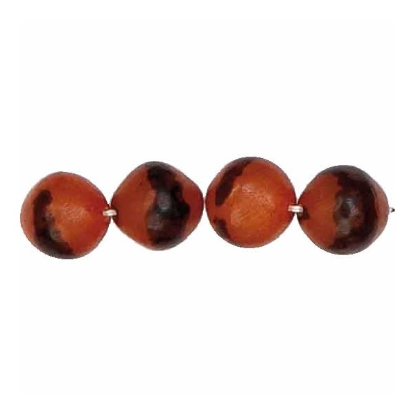 Perles en noix de palme 12mm, brun clair, +/-34 pcs