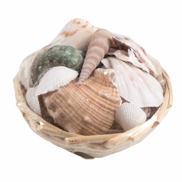 Shell mix in a basket