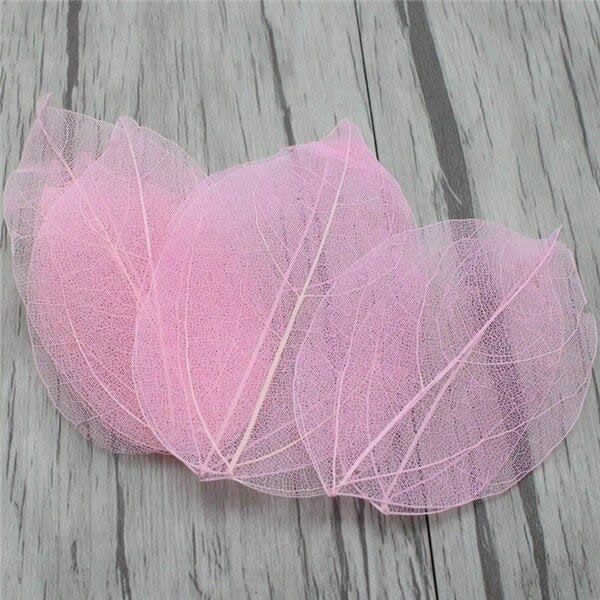 Skeleton Leaves, 6-8cm, pink, 20 pcs