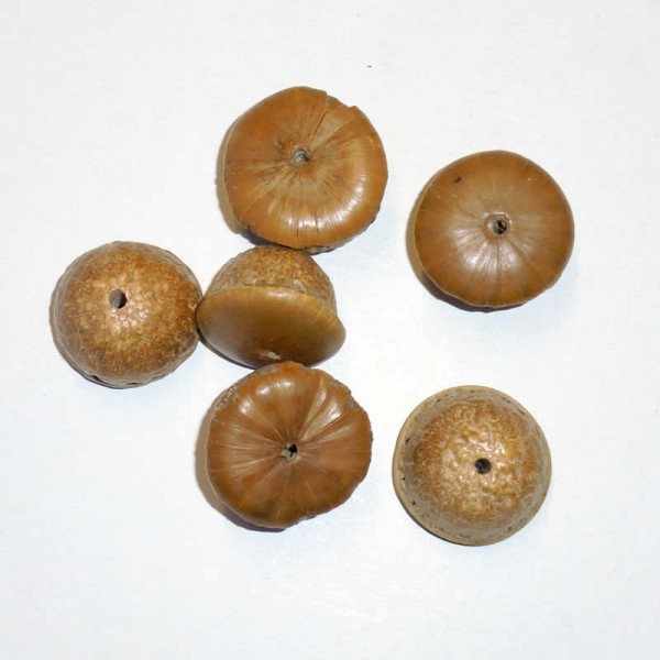 Nuts 30mm with 2mm hole, 4 pcs