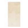 Birkenholz Platte 30x60x0.4cm