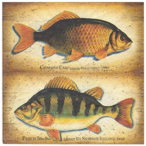 Serviette Fresh fish, 1 Stk